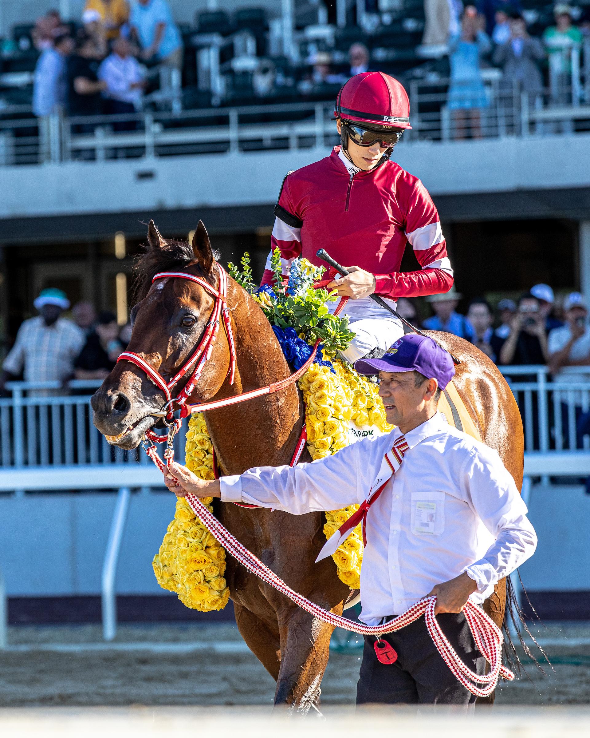 Forever Young, Jockey Club Gold Cup, Belmont Park, horse racing, America's Best Racing, ABR Forever Young, Jockey Club Gold Cup, Belmont Park, horse racing, America's Best Racing, ABR